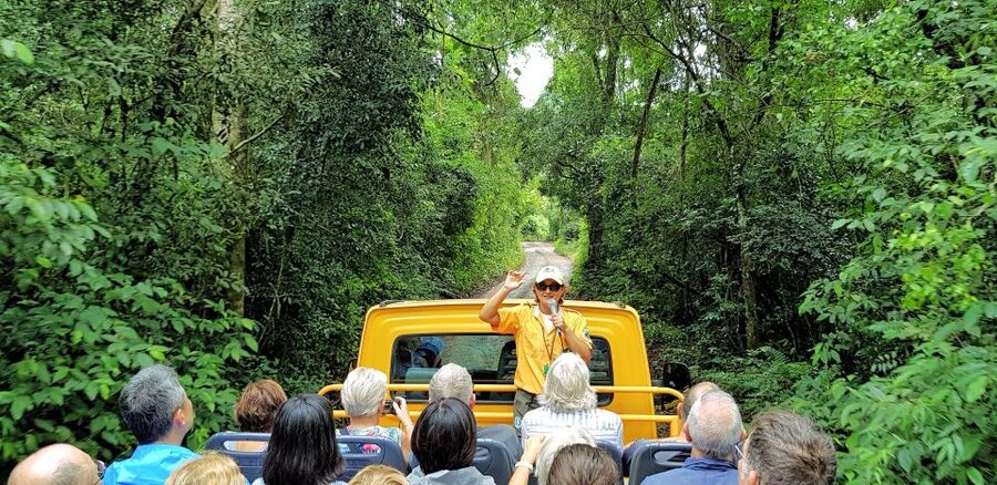 From Foz do Iguaçu: Argentinian Iguazu Falls with Boat Ride - The forest walk down to Puerto Macuco