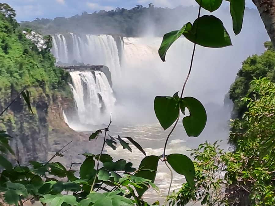 From Foz do Iguaçu: Tour to Argentinian Falls - The guides make a real difference