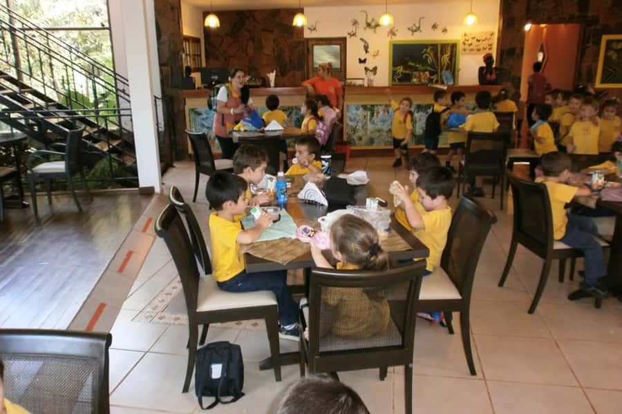 From Iguazú: Explore natural diversity at the Biocenter - The butterfly house brings the most color