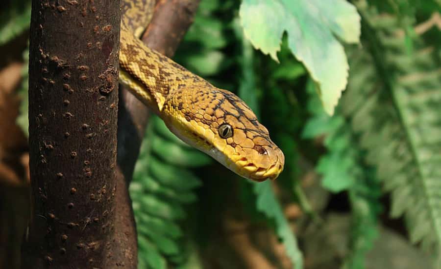 From Iguazú: Explore natural diversity at the Biocenter - Is $33 good value?