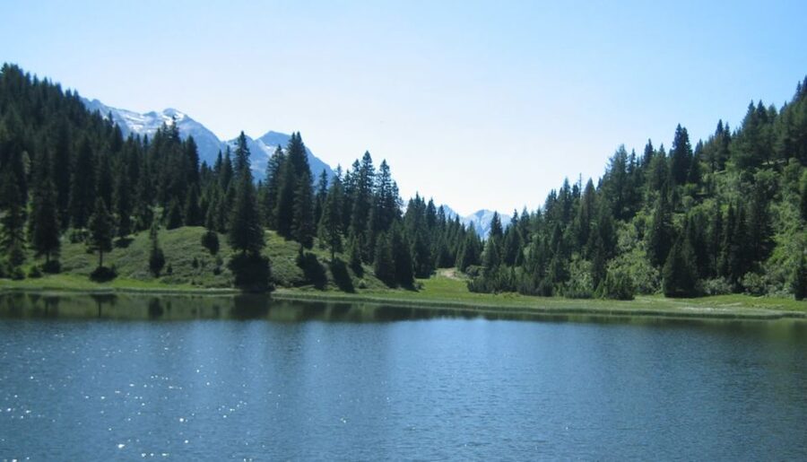 From Jujuy: Yala and Termas de Reyes Half-Day Tour - Termas de Reyes: a warm finish with a man-made feel
