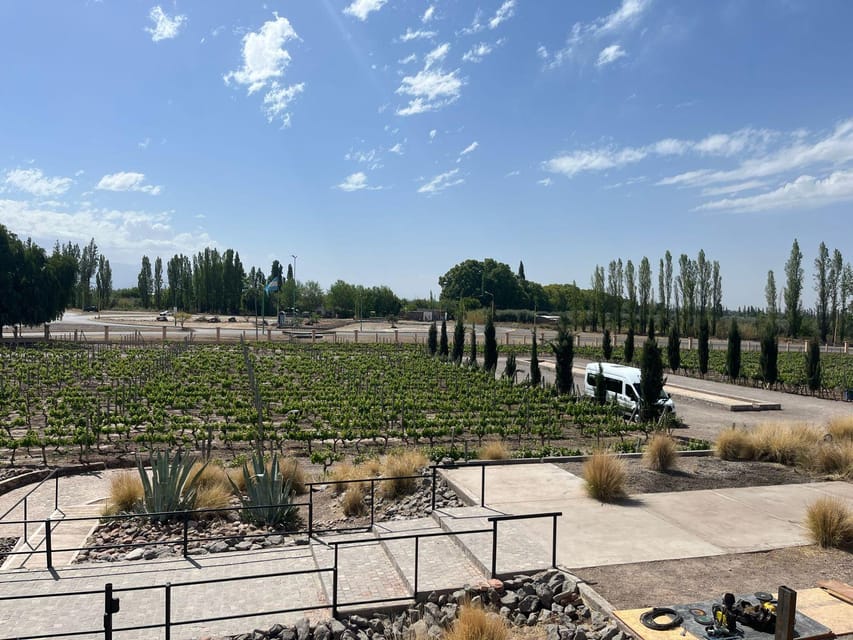 From Mendoza: 3 Wineries, Olive Oil Factory Tour & Tasting - Second stop: industrial production and a change of scale