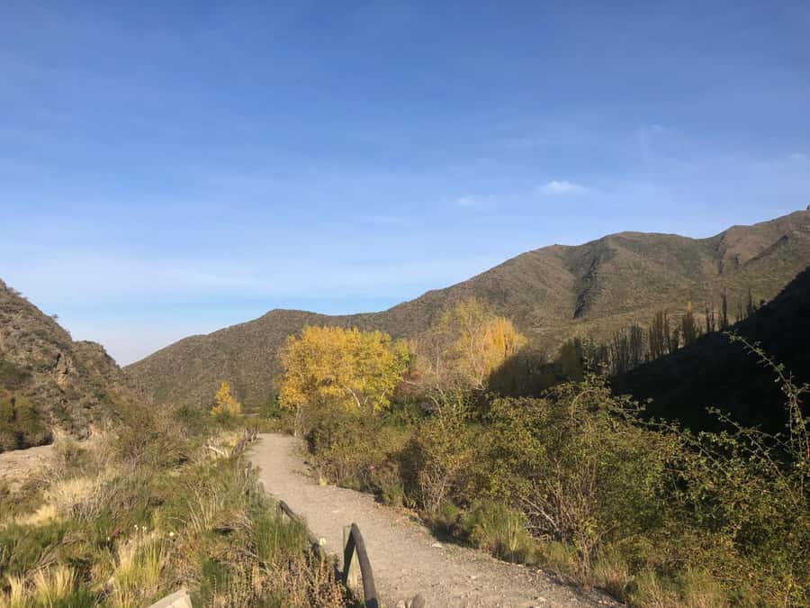From Mendoza: Andes High Mountain Full-Day Tour - Key points to know before booking