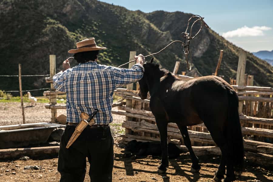 From Mendoza: Full Day Gaucho Experience - Should you book the full-day gaucho experience?
