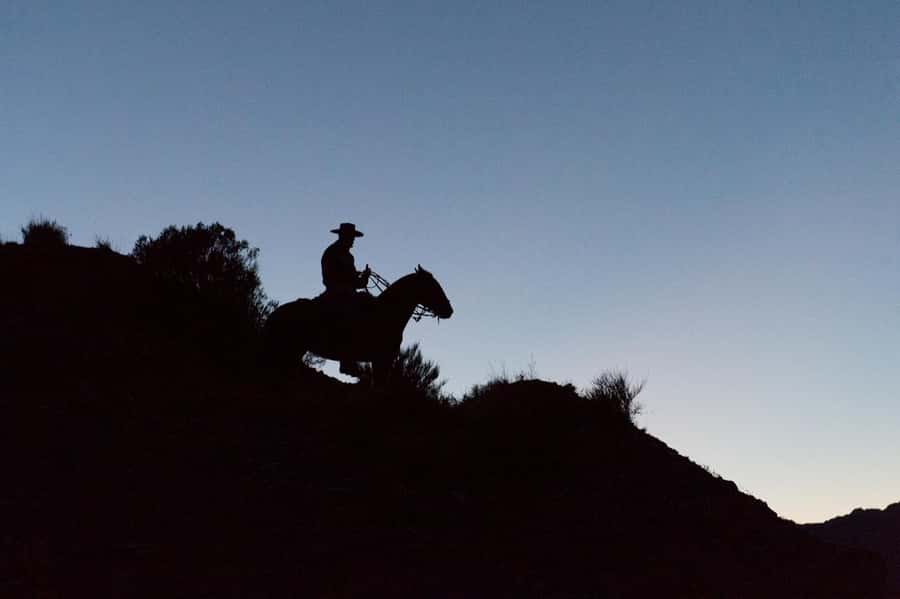 From Mendoza: Sunset Horseback Ride and Asado in the Andes - Booking flexibility and pickup details