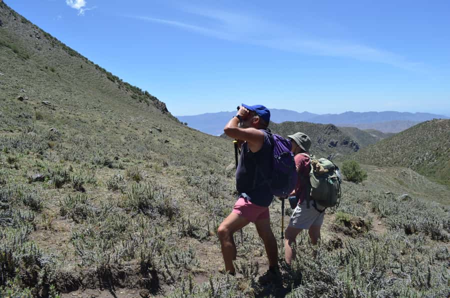 From Mendoza: Trekking and Barbecue in the Andes - Best for families, first-time trekkers, and local food fans
