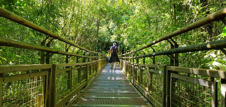 From Puerto Iguazu: Argentinian Iguazu Falls with Boat Ride - What the guides add to the day