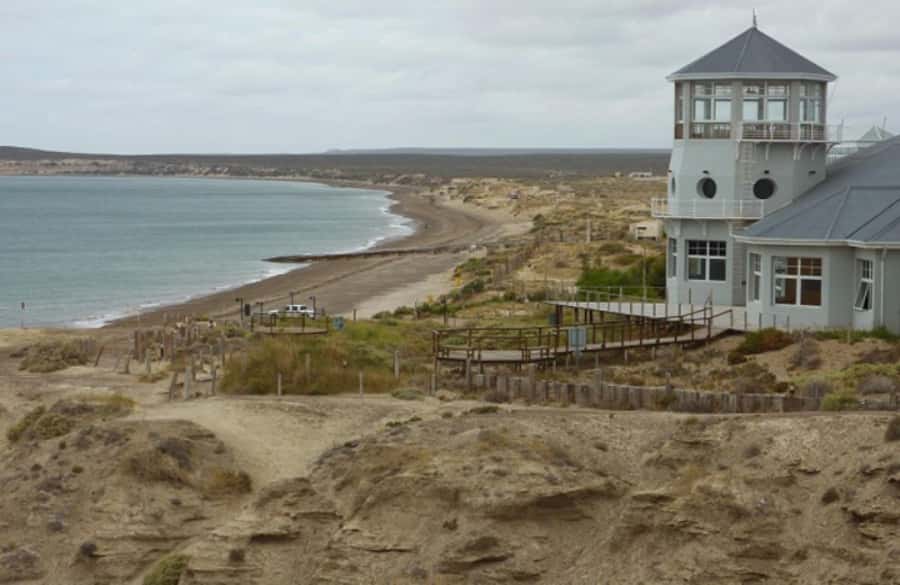 From Puerto Madryn: City and Punta Loma Tour - A Short Route With Two Very Different Sides of Puerto Madryn
