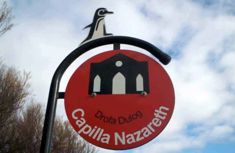 From Puerto Madryn: City and Punta Loma Tour - Is $196 a Fair Price for Two Hours?