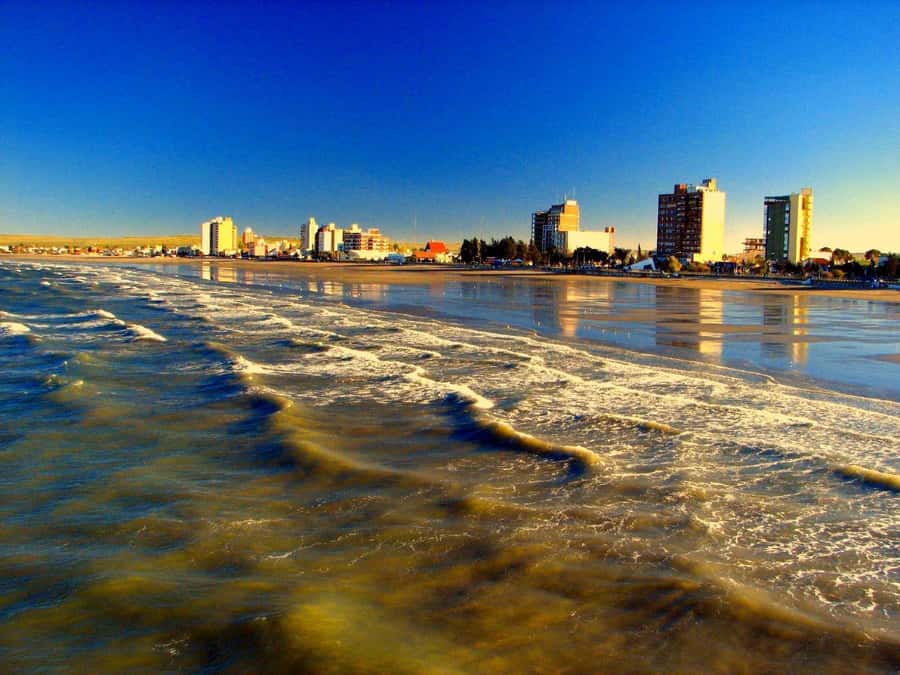 From Puerto Madryn: City and Punta Loma Tour - Timing, Transfers, and What to Bring