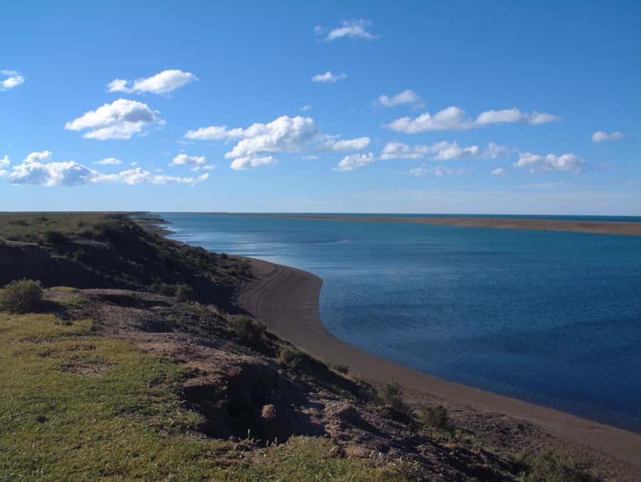 From Puerto Madryn: Full-Day Valdes Peninsula Tour - What to pack for Patagonia
