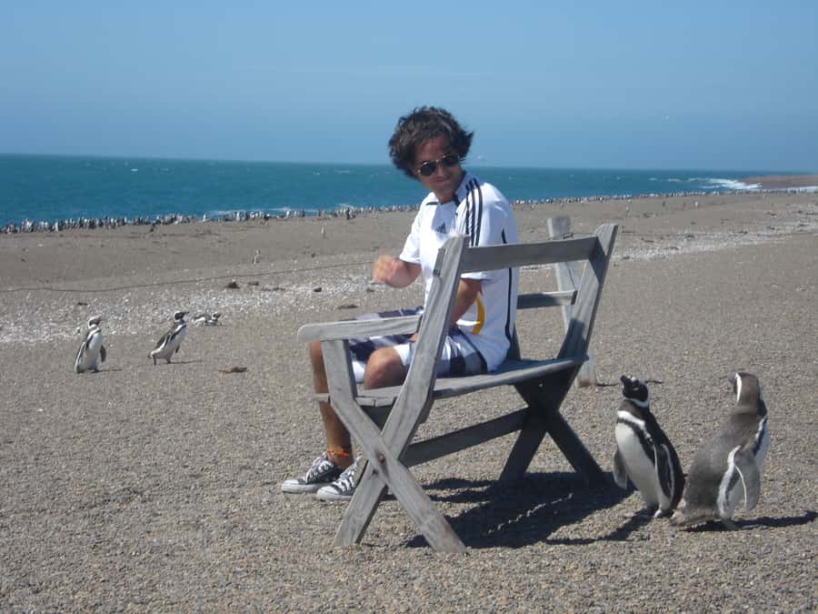 From Puerto Madryn: Penguin Tour & Península Valdés Day Trip - Why this day trip works so well