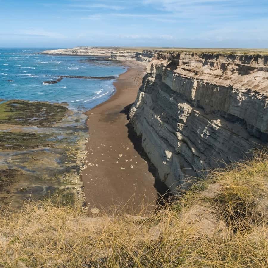 From Puerto Madryn: Peninsula Valdés Shore Excursion - Why Peninsula Valdés is worth the long ride