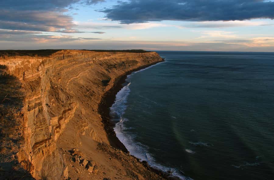 From Puerto Madryn: Valdes Peninsula Full-Day Tour - Why Valdes Peninsula makes a strong day trip