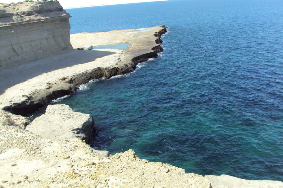 From Puerto Madryn: Valdes Peninsula Full-Day Tour - The Carlos Ameghino Isthmus gives you the map