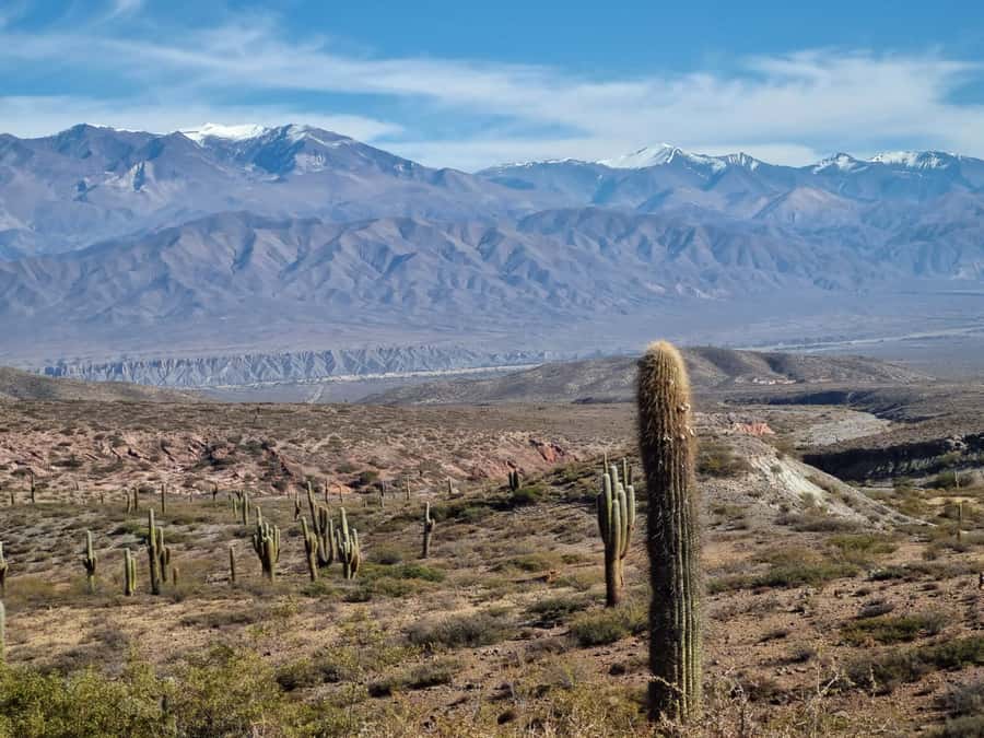 From Salta: 2-Day Guided Trip to Cafayate and Cachi - Day one: tobacco fields and the road to Cafayate