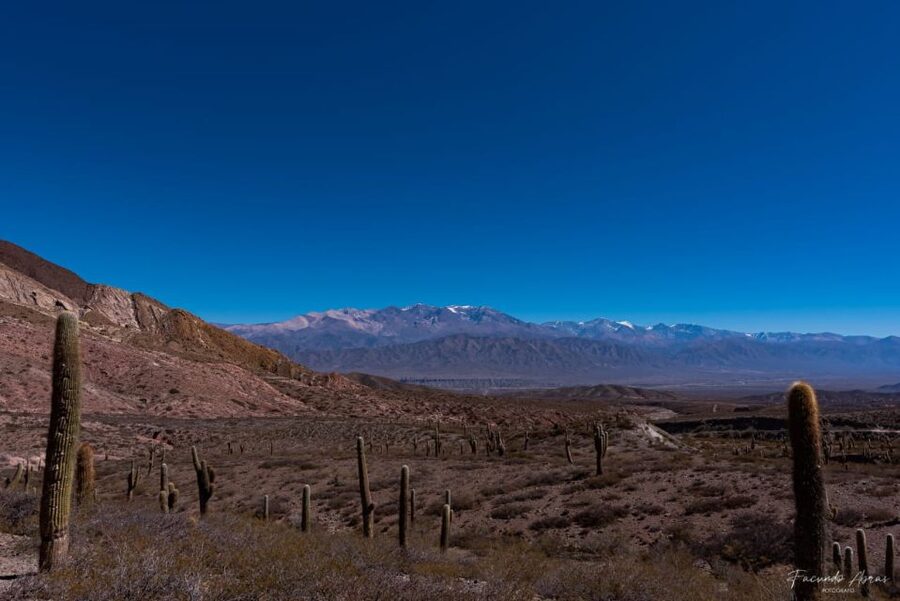 From Salta: 4-Day Trip in Salta Province & Salinas Grandes - Hornocal and the Hill of 14 Colors