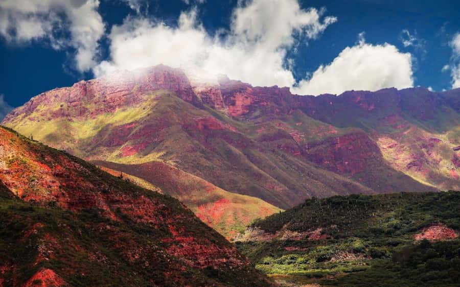 From Salta: Cachi and Los Cardones National Park Tour - Recta del Tin Tin, an Inca road across the high plain