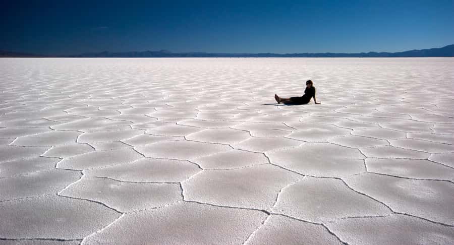 From Salta: Cachi and Salinas Grandes 2-Day Guided Trip - Parque Nacional de Cardones and the changing highlands