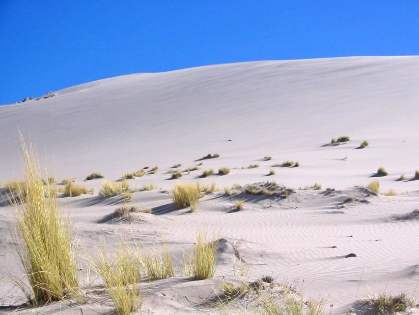 From Salta: Cafayate and Hornocal 2-Day Tour with Transfer - Forty-five minutes at the Hill of Fourteen Colors