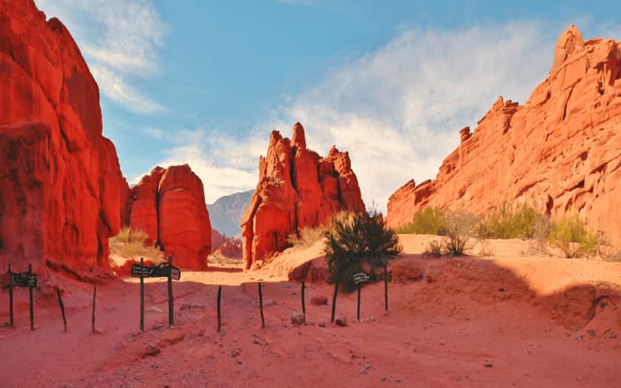 From Salta: Cafayate, Cachi and Salinas Grandes in 3 days - Key points to know before booking
