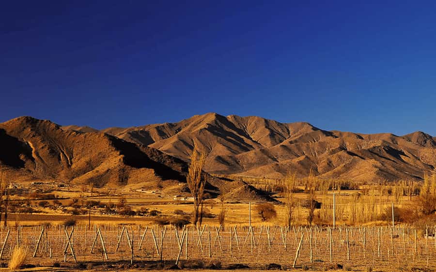 From Salta: Cafayate, Cachi and Salinas Grandes in 3 days - FAQ