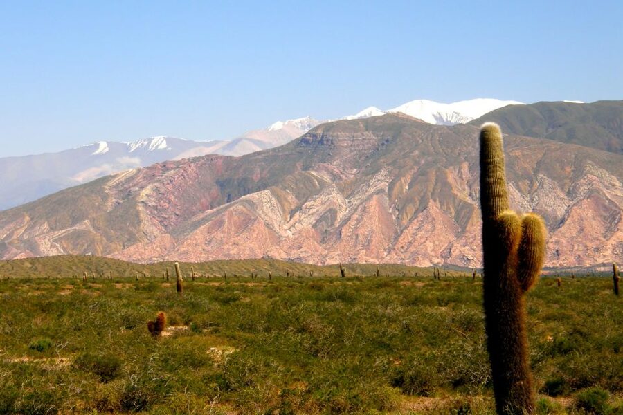 From Salta: Cafayate, Cachi, & Hornocal 3-Day Tour - Small details that make the trip easier