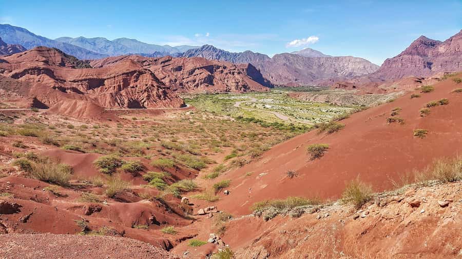 From Salta: Cafayate Day Trip with Wine Tasting - Who should book this Salta day trip?