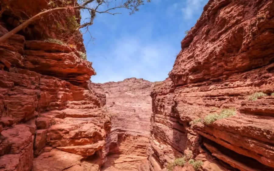 From Salta: Cafayate,Humahuaca and Salinas Grandes in 3 days - Who Will Enjoy This Experience Most?