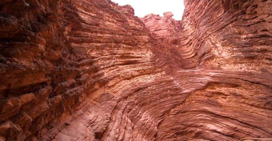 From Salta: Cafayate, Humahuaca & Salinas Grandes 3-Day Tour - Should you book it?
