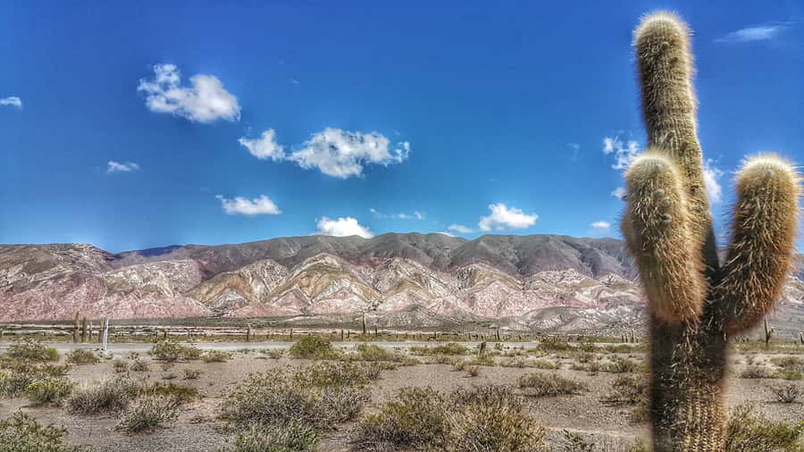 From Salta: Day Trip to Cachi and the Calchaquí Valleys - Leaving Salta Through the Lerma Valley