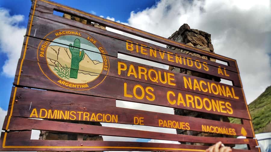 From Salta: Day Trip to Cachi and the Calchaquí Valleys - Yungas Forest at Quebrada de los Laureles