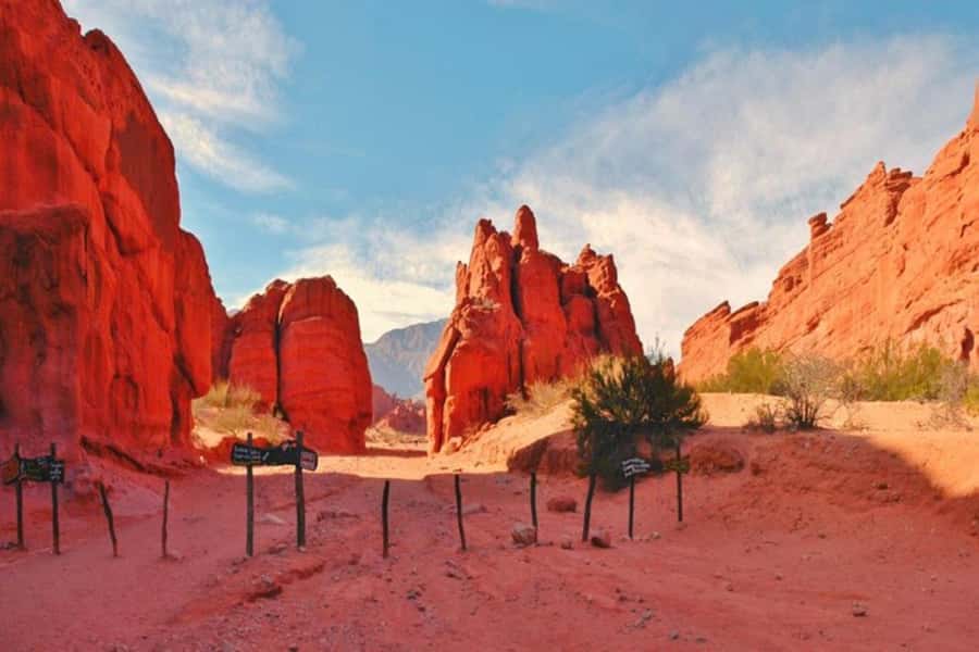 From Salta: Day Trip to Cafayate - Reaching Cafayate and tasting Torrontés