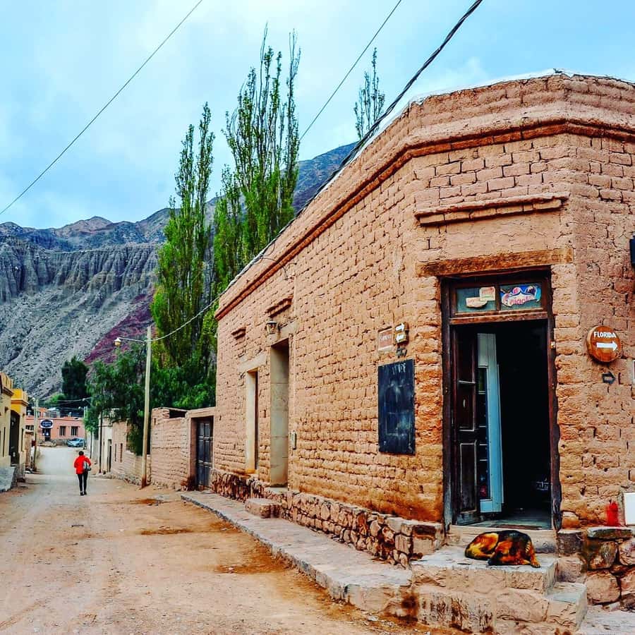 From Salta: Day Trip to Quebrada de Humahuaca - Purmamarca and Seven Colors Hill