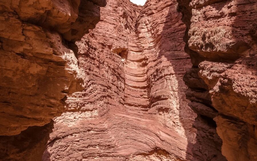 From Salta: Full-day excursions through Cafayate and Cachi - Transport, guides, and the English question