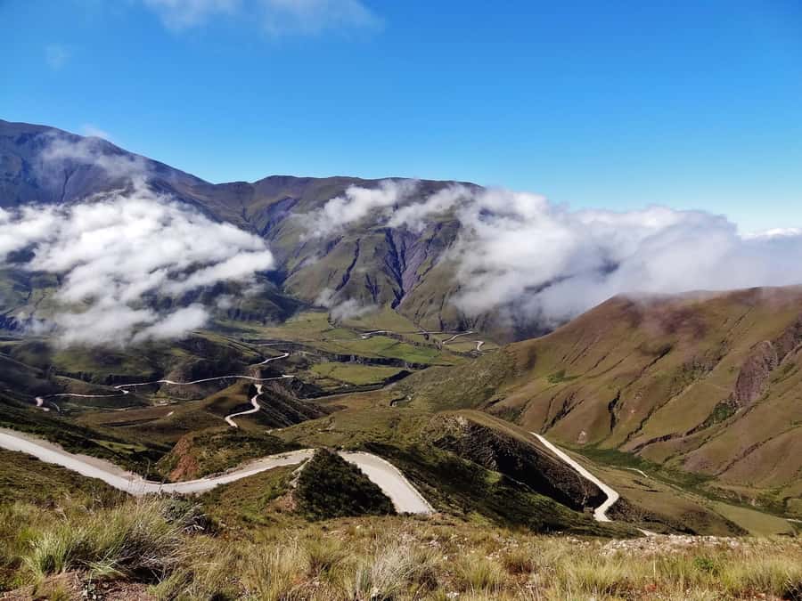 From Salta: Full-Day Scenic Tour to Cachi - Escoipe Gorge and Los Laureles