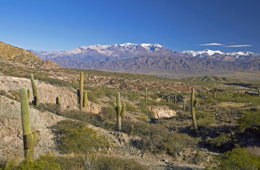 From Salta: Full-Day Scenic Tour to Cachi - The ride back to Salta