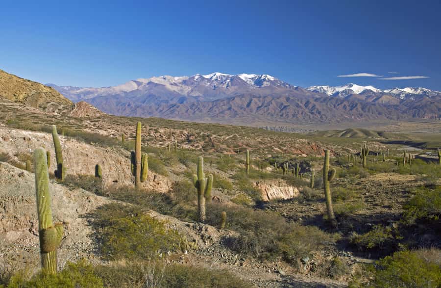 From Salta: Full-Day Scenic Tour to Cachi - Leaving Salta through the lower valleys