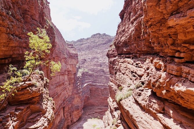 From Salta: Full-Day Tour to Cafayate, Land of Wines - The strange stone shapes of Quebrada de las Conchas