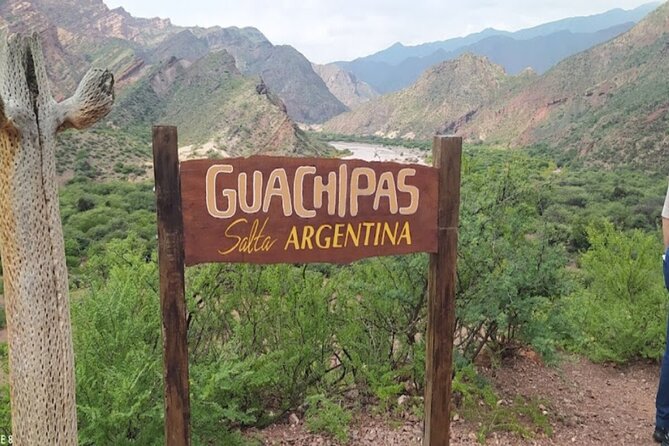 From Salta: Full-Day Tour to Cafayate, Land of Wines - Cafayate winery visit and the limits of the tasting
