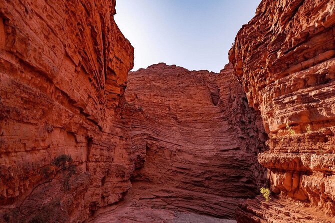 From Salta: Full-Day Tour to Cafayate, Land of Wines - The return journey to Salta