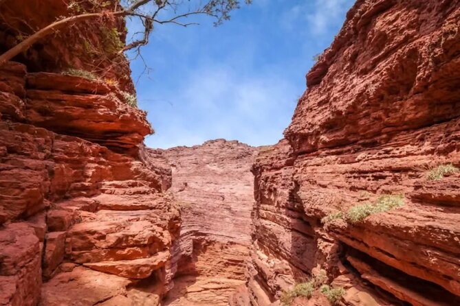 From Salta: Full-Day Tour to Cafayate, Land of Wines - Price, group size, and overall value