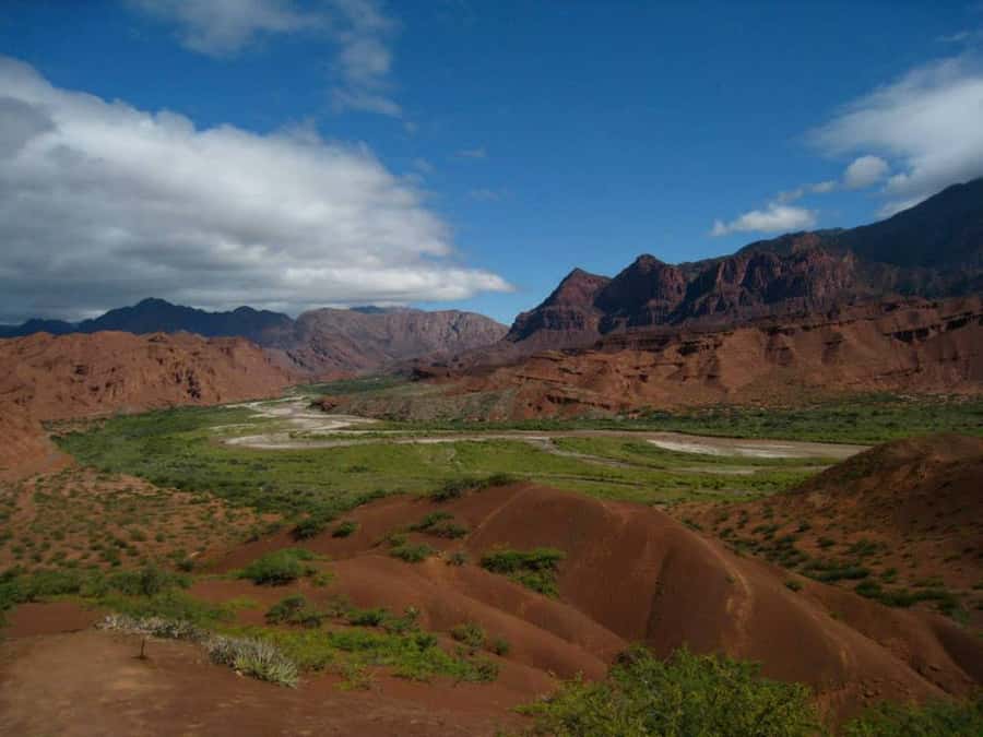 From Salta: Full-Day Tour to Cafayate with Wine Tasting - Leaving Salta through the Lerma Valley
