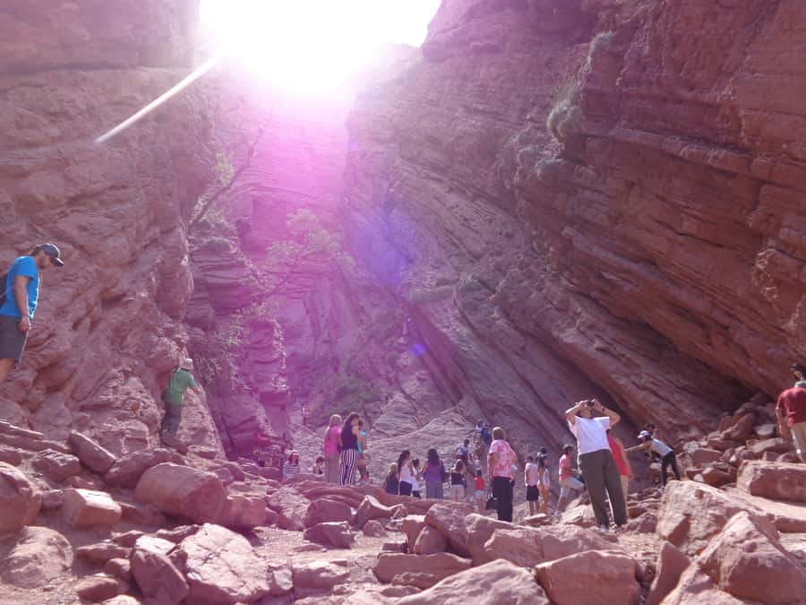 From Salta: Full-Day Tour to Cafayate with Wine Tasting - What the minibus ride is really like
