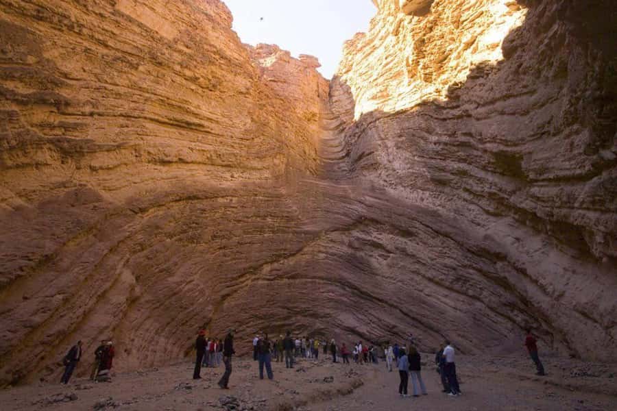 From Salta: Full-Day Tour to Cafayate with Wine Tasting - The winery visit and Torrontés tasting