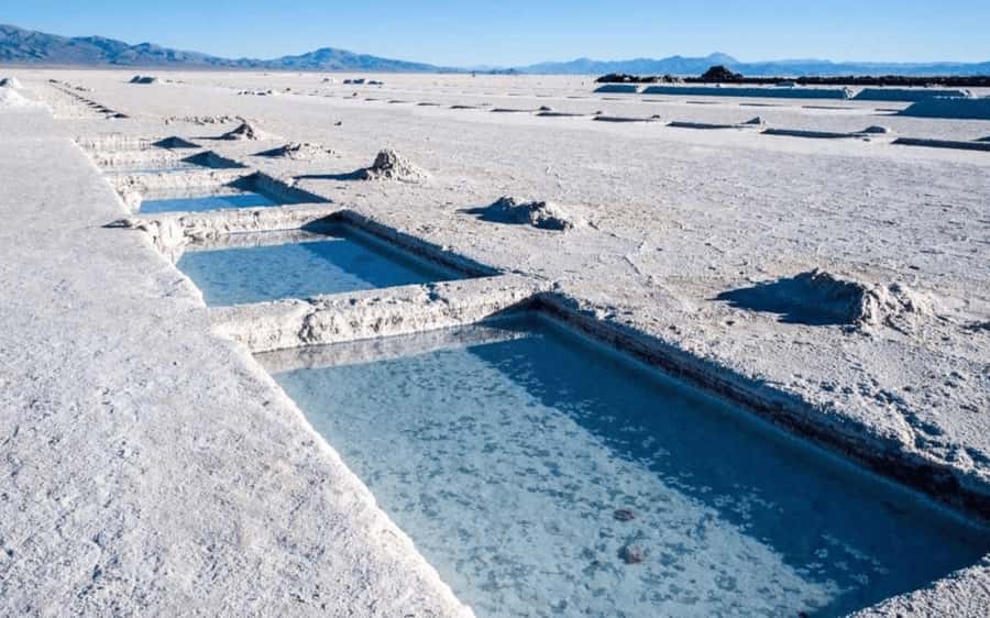 From Salta: Full-Day Tours of Cafayate and Salinas Grandes - Key points to know before booking