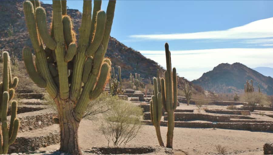 From Tucumán: Tafí del Valle, Quilmes Ruins and Cafayate - Why this route works from Tucumán