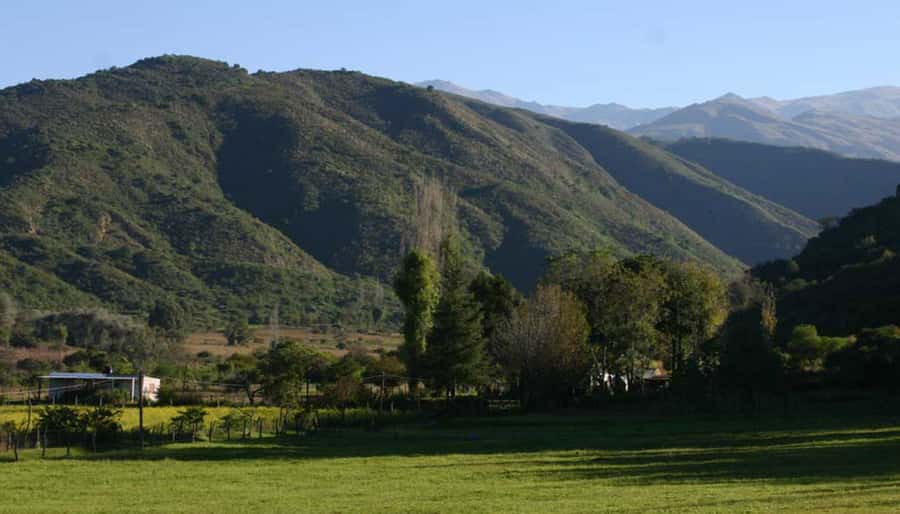From Tucumán: Tafí del Valle, Quilmes Ruins and Cafayate - The early hotel pickup in Tucumán