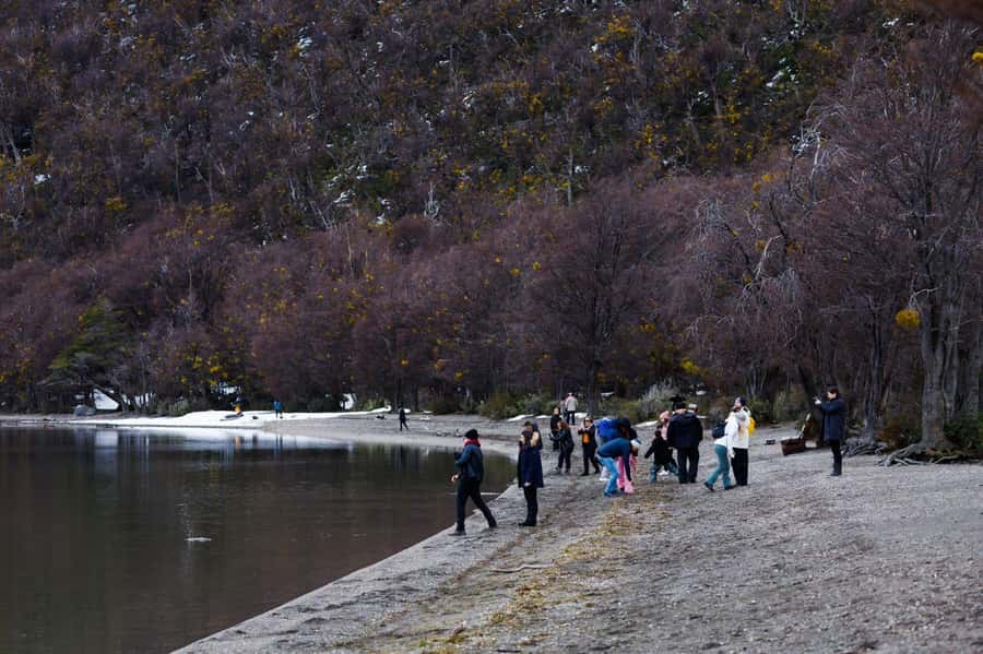 From Ushuaia: Discover Tierra del Fuego National Park - Key points to know before booking