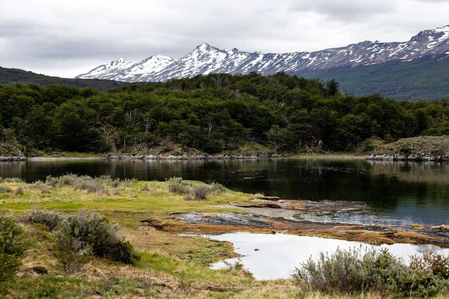 From Ushuaia: Discover Tierra del Fuego National Park - What the $72 price really includes